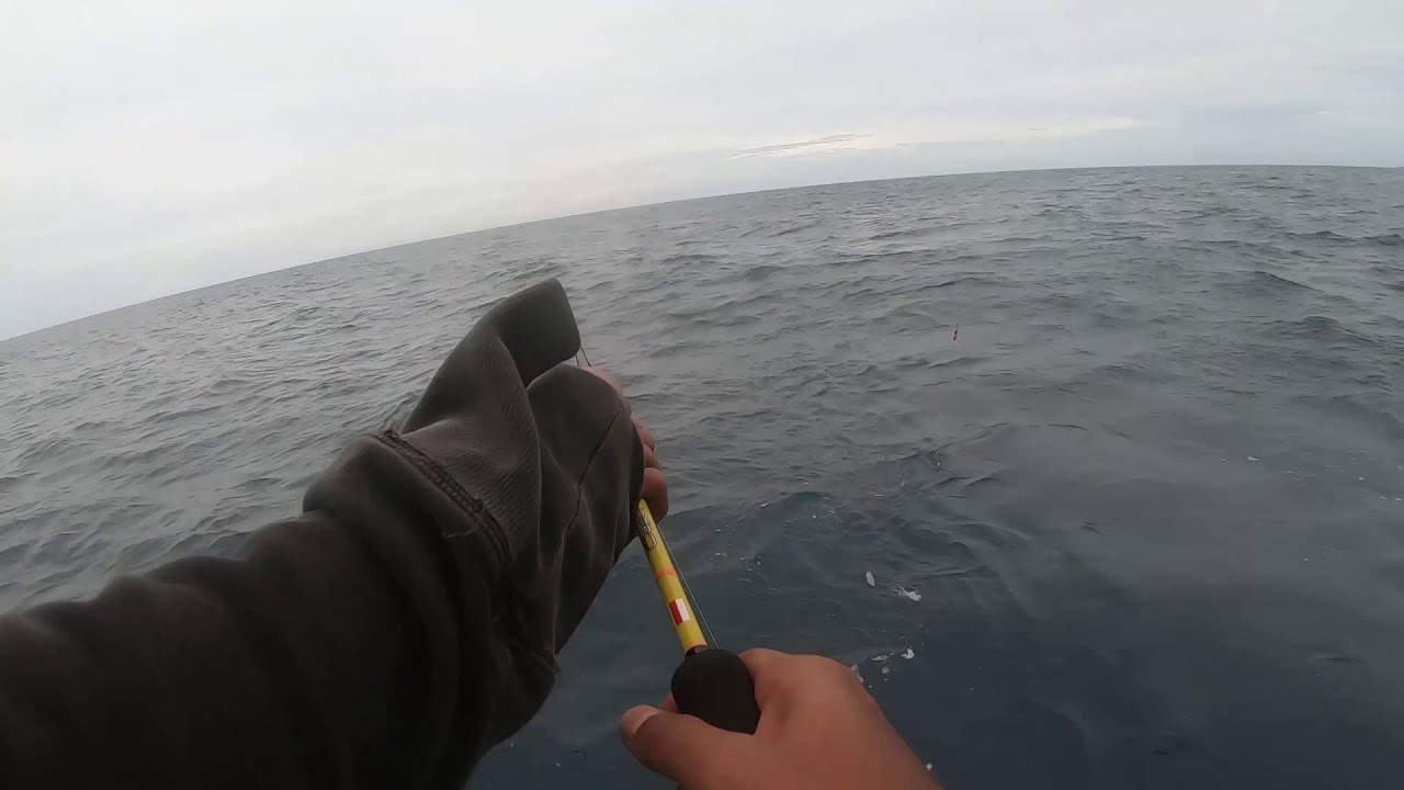 JANGAN COBA COBA JIGGING PAKE JORAN CAPUNG KALO GAK PENGEN KAYA SAYA