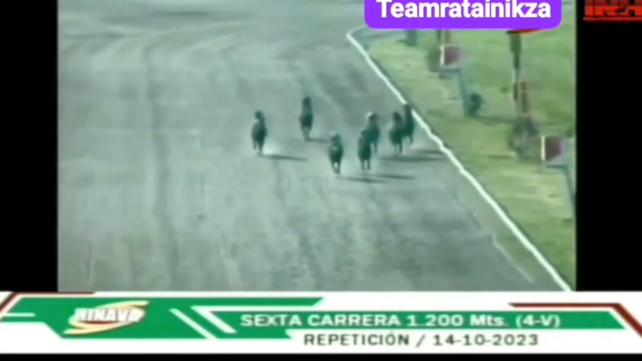 INH - FALLECIÓ HOY EN EL HIPÓDROMO DE VALENCIA LA JOCKETA MARÍA ALEJANDRA BRUZUAL (DESCANSA EN PAZ)