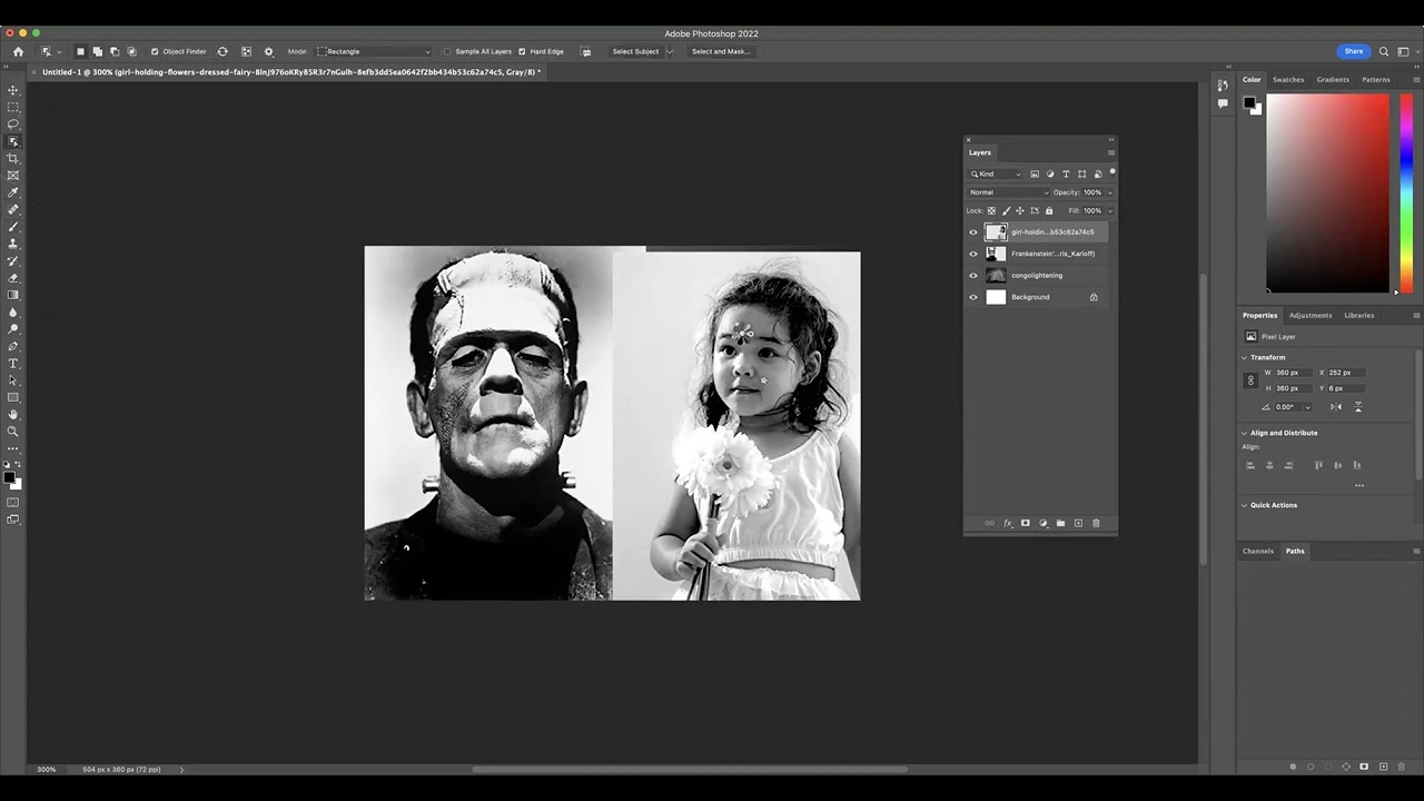 Digital Negative (Photoshop) Part 1