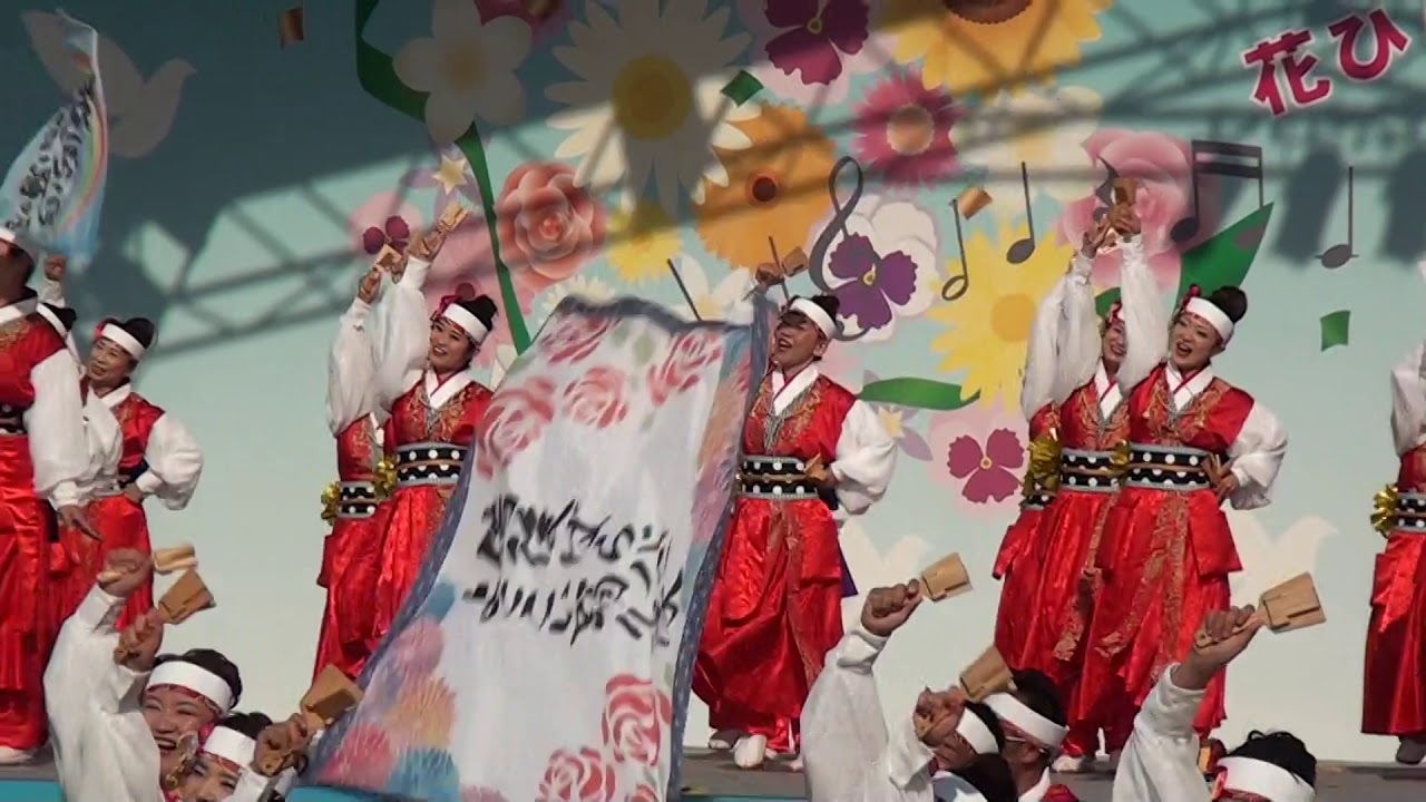 備後ばらバラよさこい踊り隊2019フラワーフェスティバル　カーネーションステージ