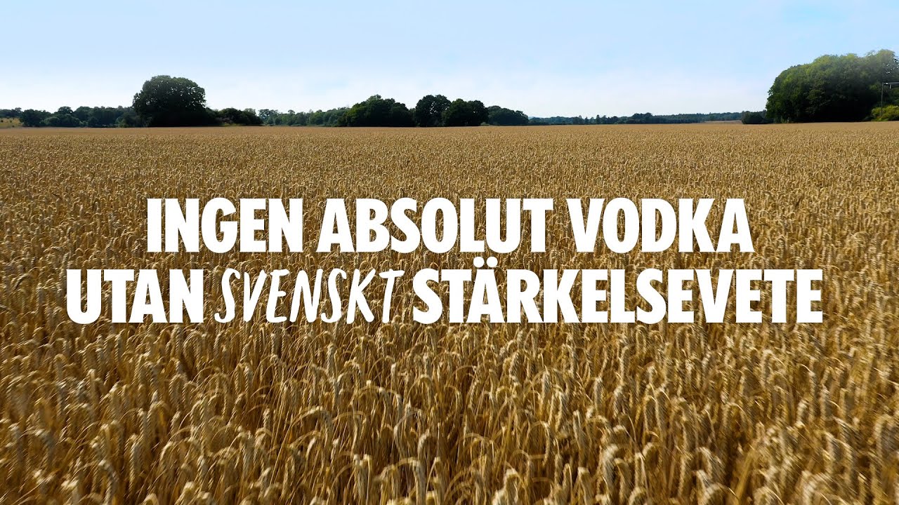 Vete v&aring;r viktigaste r&aring;vara
