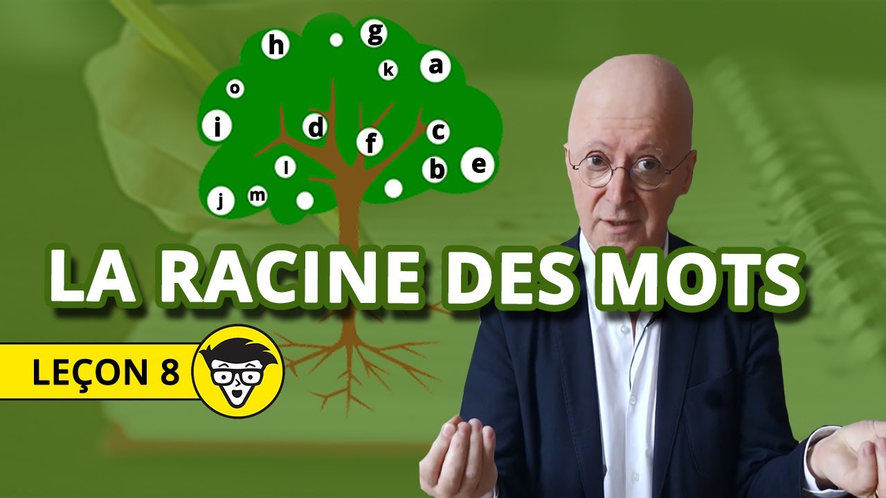 La leçon du professeur Julaud n°8 - La racine des mots