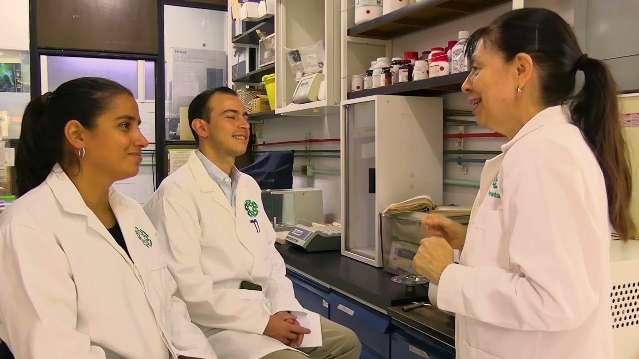 Video promoci&oacute;n del Dpto. de Gen&eacute;tica y Biolog&iacute;a Molecular