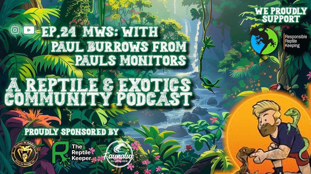 Ep.24: MWS - Monitor Lizards, Social Media Pressure & Mental Health | Paul&rsquo;s Monitors x Habistat