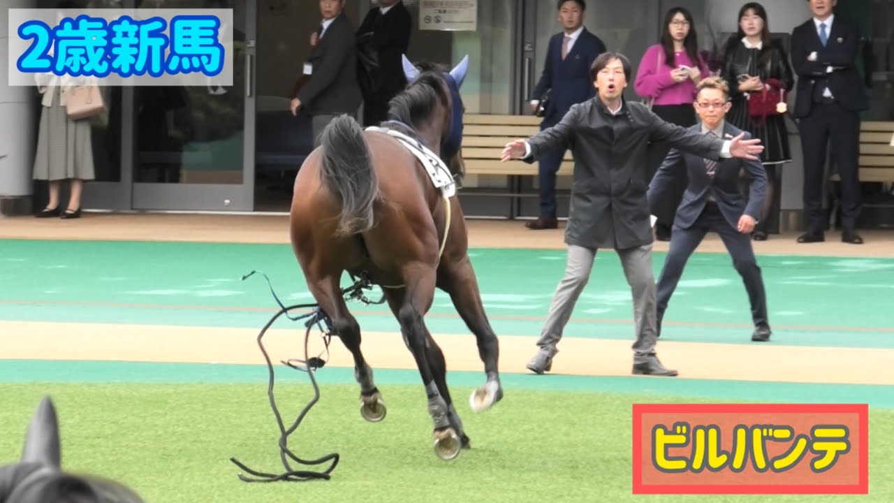 馬名意味は
