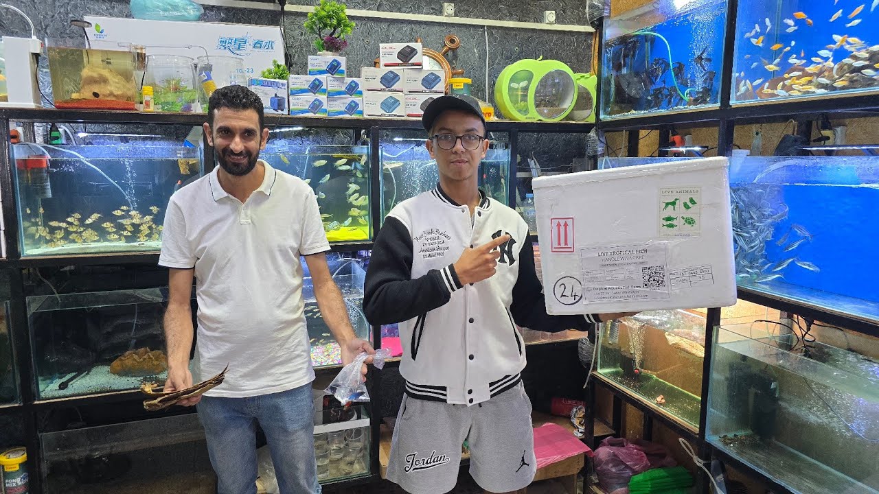الجديد عند حسن🔥عشاق أسماك الزينة أجيو نتولعو فالجديد أكل لوازم أسماك فرجة ممتعة #fish #سوق_القريعة 