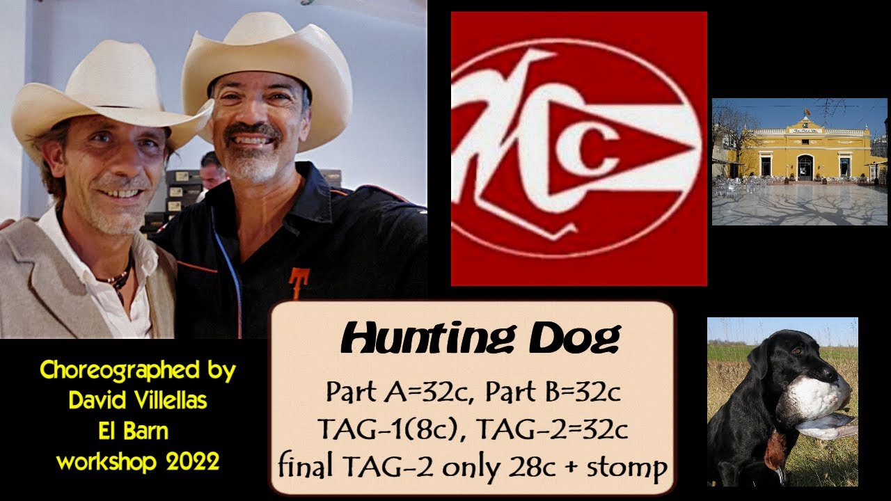Hunting Dog