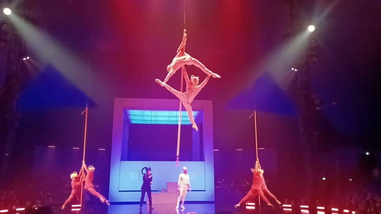 Echo Circus Show 🎪