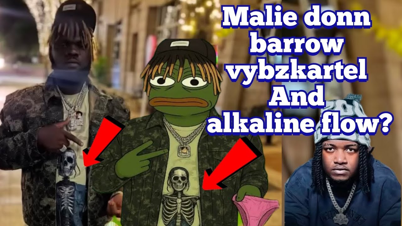 Malie Donn froggy copy vybzkartel & Alka flow Fe beat chronic law, kartel will sold out Barclays 