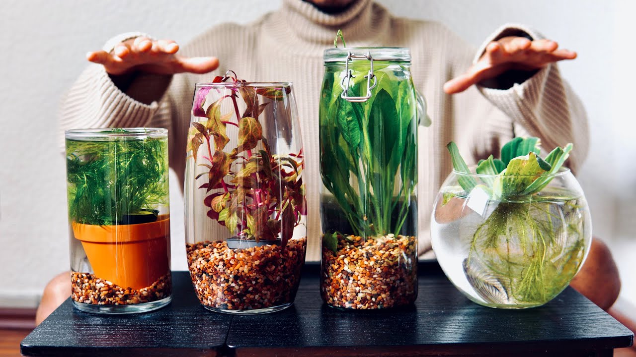 How to make an Indoor Water Garden From Scratch.