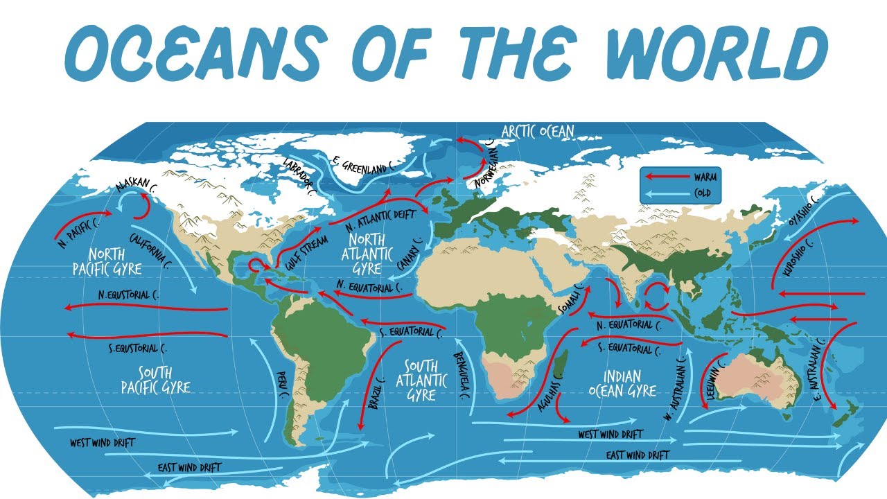 What are the 5 Oceans of the World?