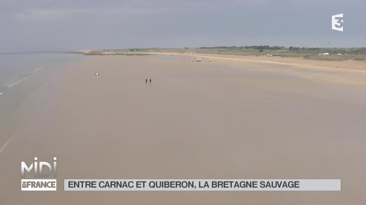 SUIVEZ LE GUIDE : Entre Carnac et Quiberon, la Bretagne sauvage