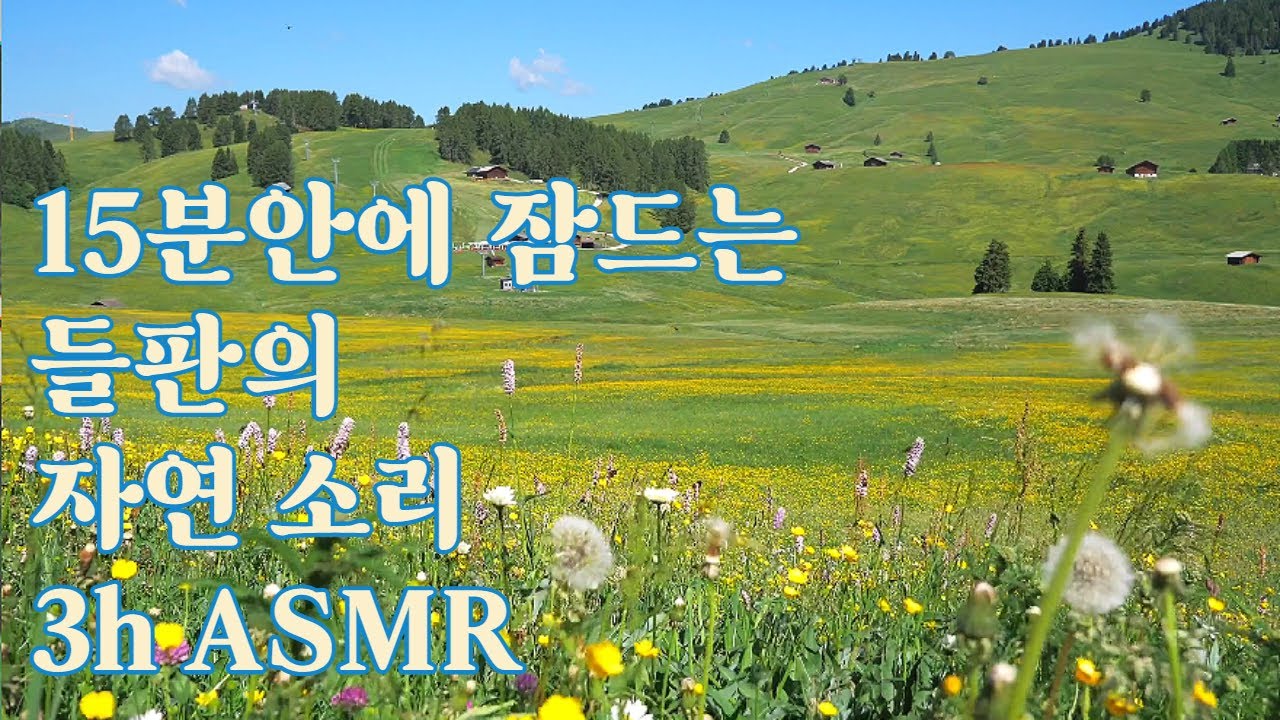 15분 안에 잠드는 들판의 새소리, 바람소리 편안한 소리 ASMR [수면, 스트레스 해소, 집중, 공부, 휴식, 명상]