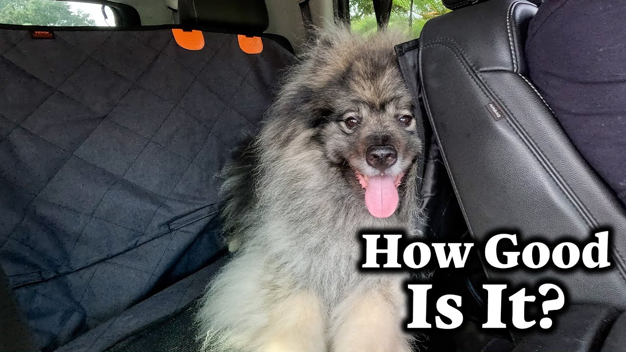 Best Dog Car Seat Cover EVER! VEVOR Back Seat Extender Review