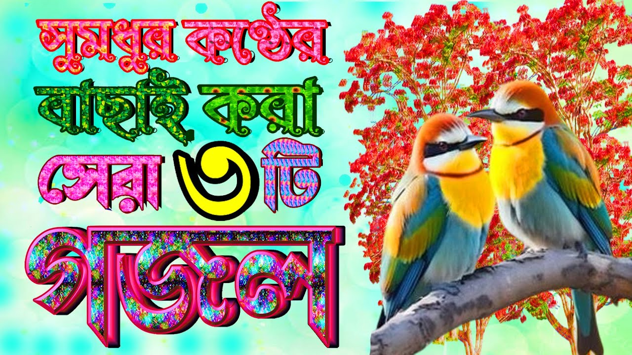 আজ না হয় কাল তুমি যাইবা কবরে । খুবই দুঃখের গজল, New Islamic Gojol 2023, Bangla Gojol, Two New Gojol