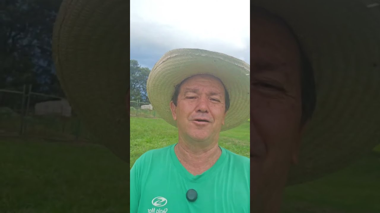 fui fazenda Walter Marques  está ao vivo!