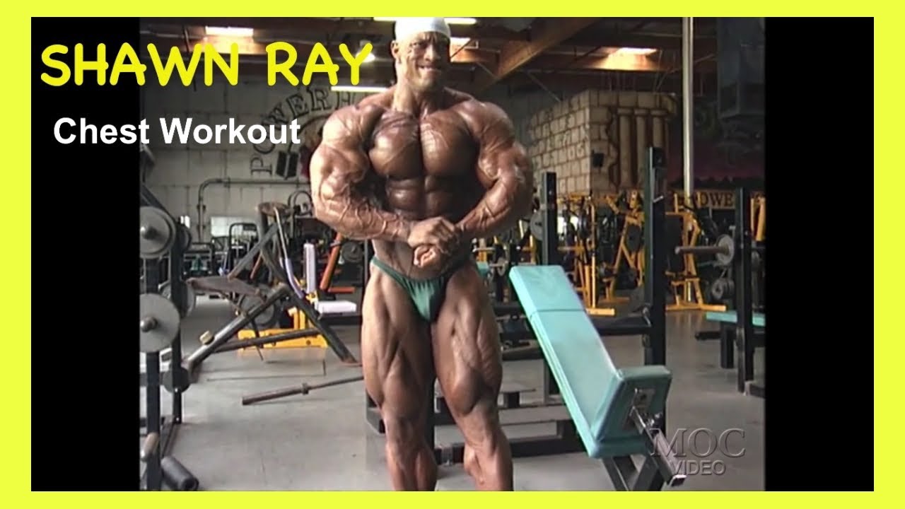 SHAWN RAY - CHEST WORKOUT - Final Countdown DVD (1998)