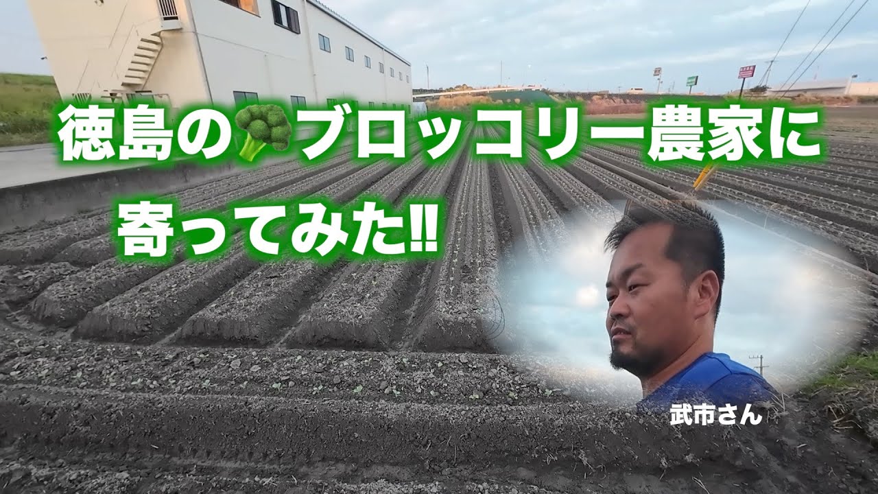 徳島のブロッコリー農家に寄ってみた‼︎2023.10.1#1376