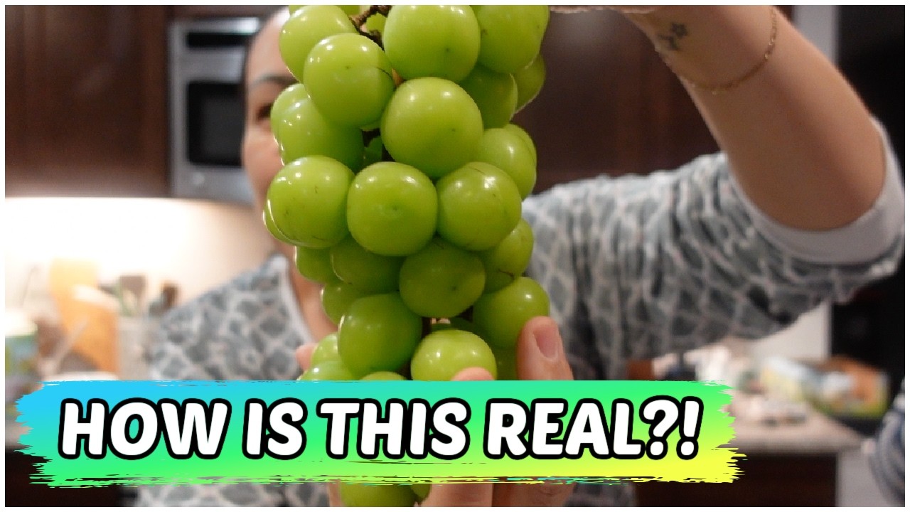 ARE WE EATING PLASTIC?! - February 19, 2026