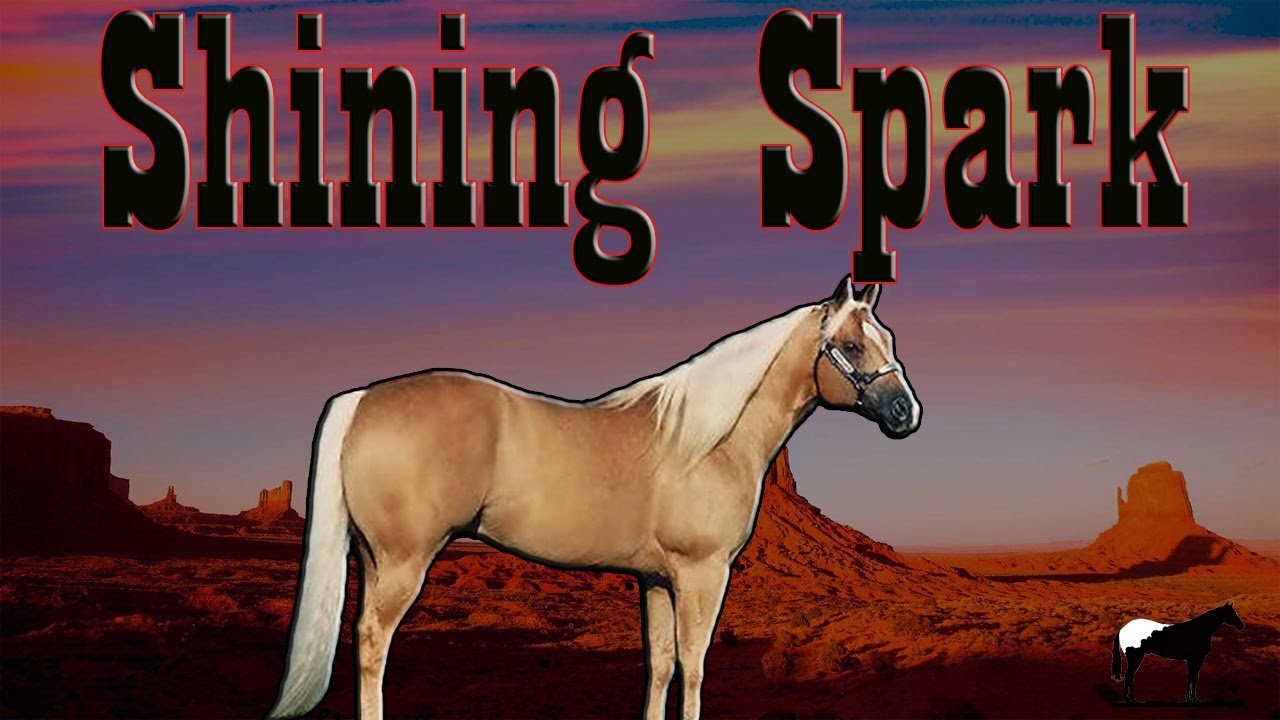 El Gran Shining Spark (Semental Numero 6 De La AQHA)🐴-Del Cerro Soy