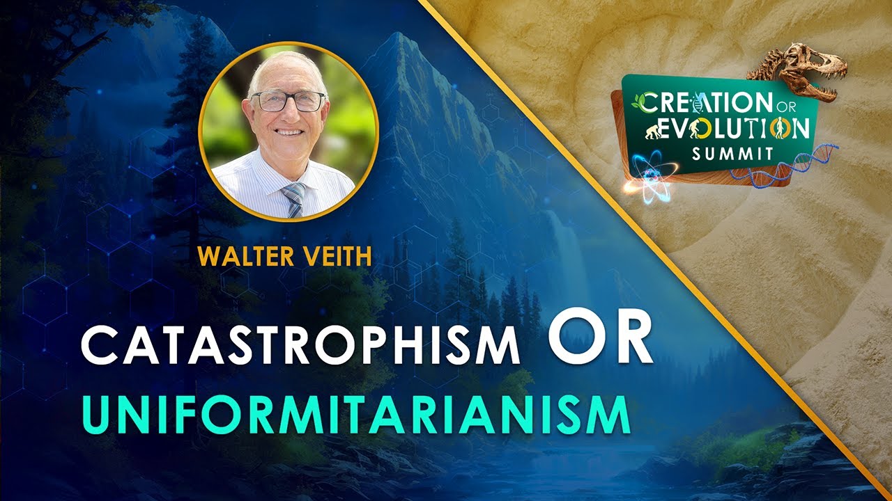 Creation or Evolution: 