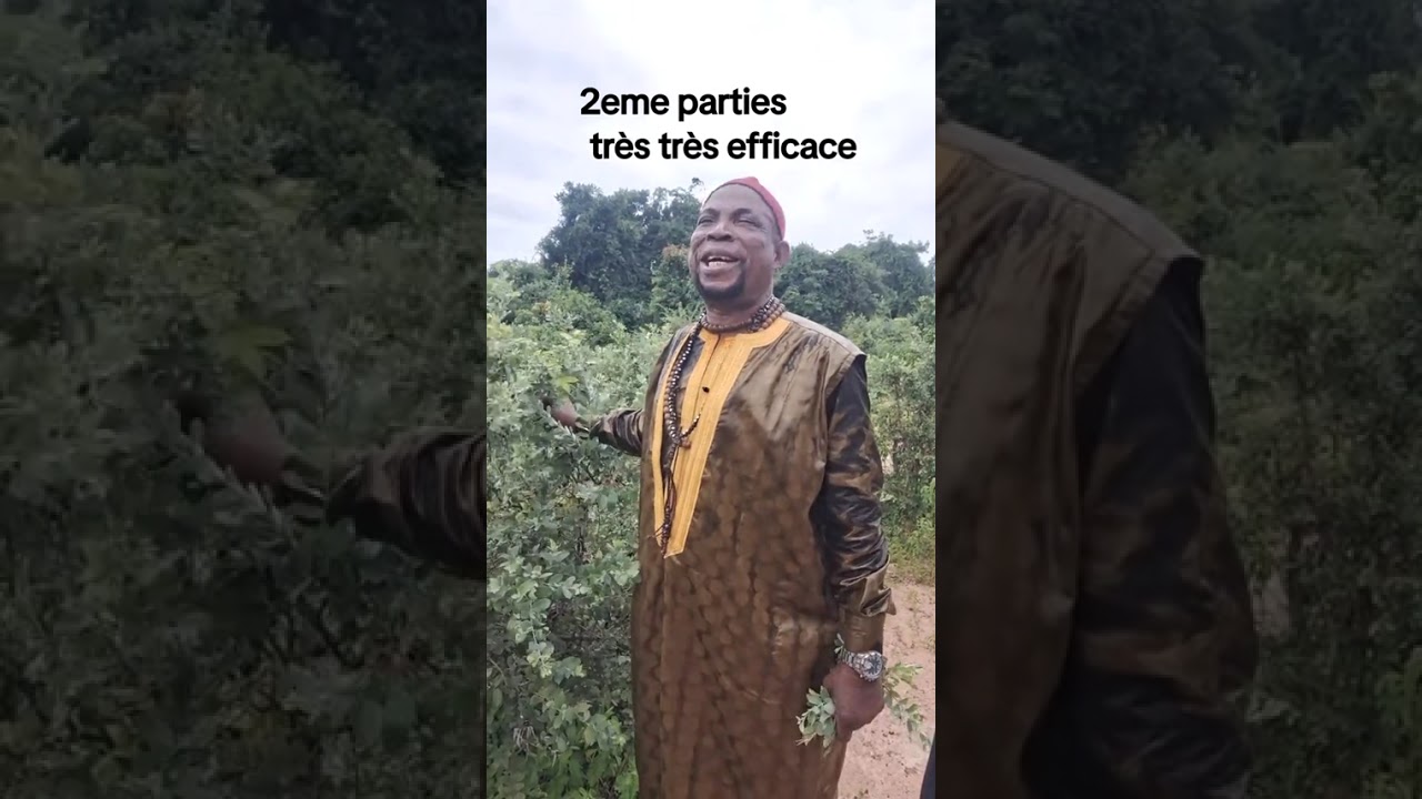 Faida très efficace goudjie