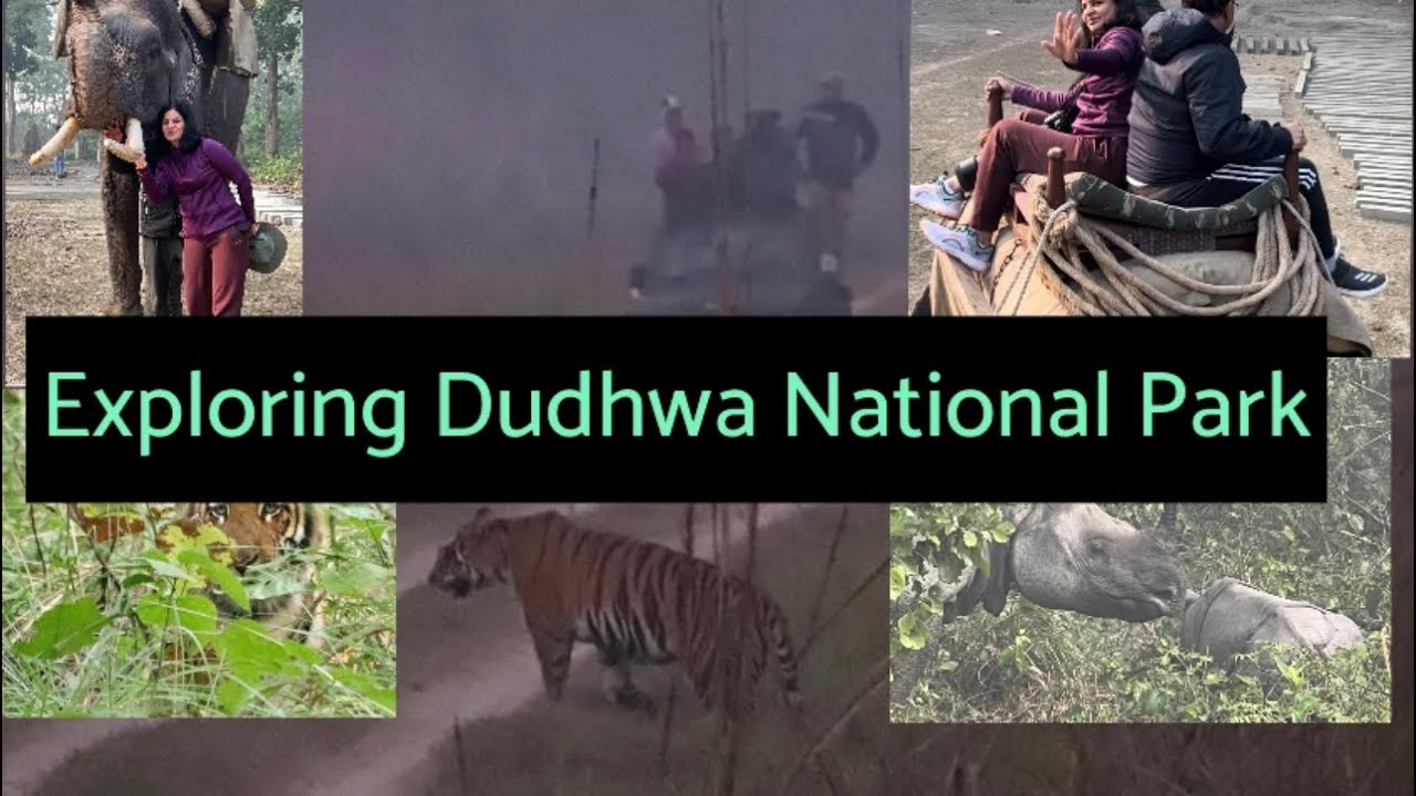 &ldquo;Exploring Dudwa National Park: A Wildlife Adventure in Uttar Pradesh&rdquo;