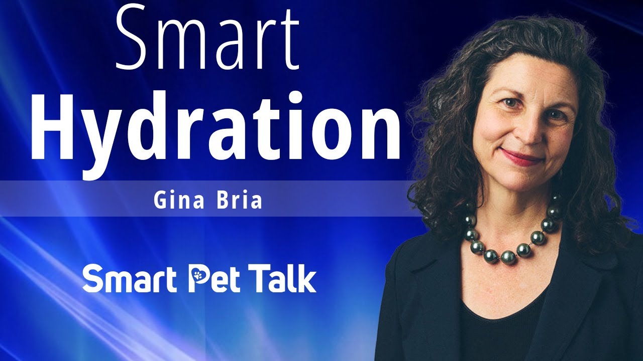 Smart Hydration with Gina Bria on Smart Pet Talk