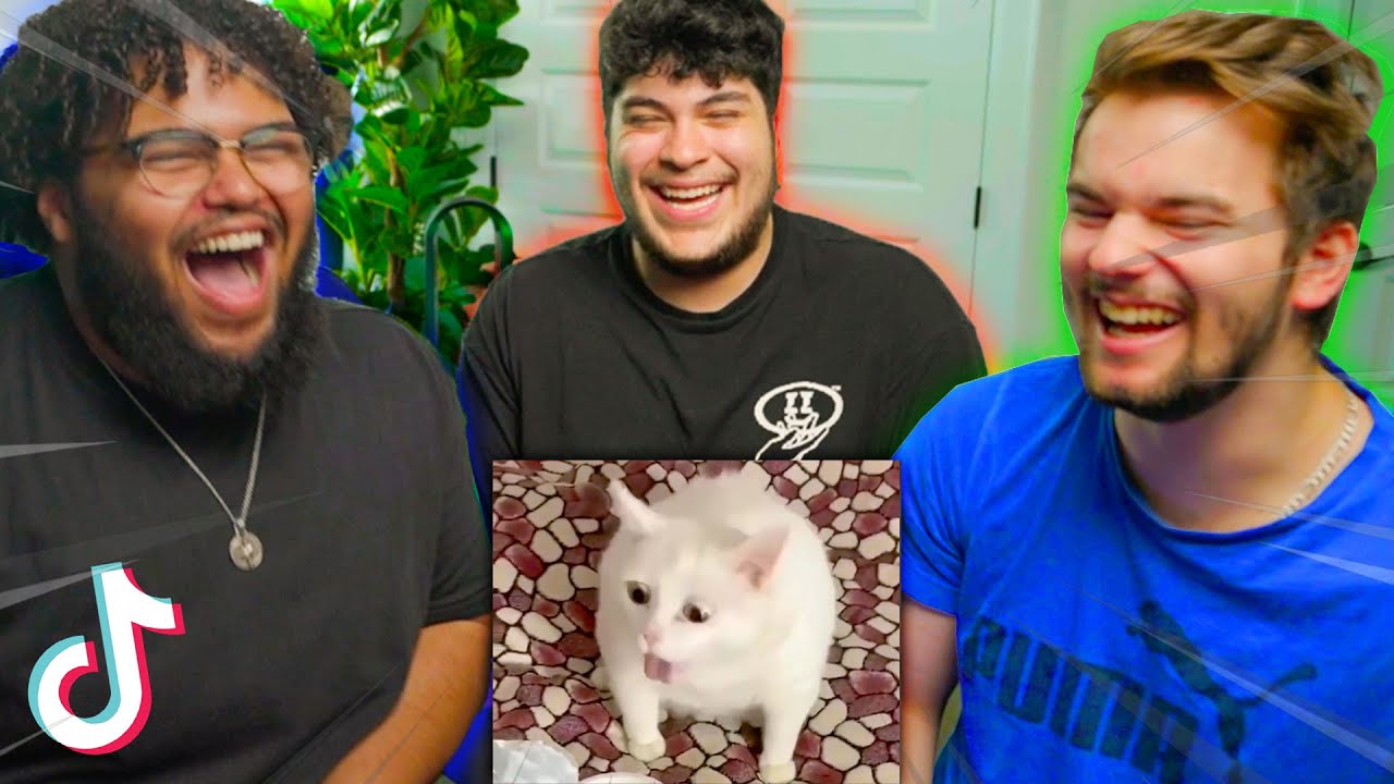 Forcing Grizzy & Droid to REACT to My Liked TikToks IN PERSON