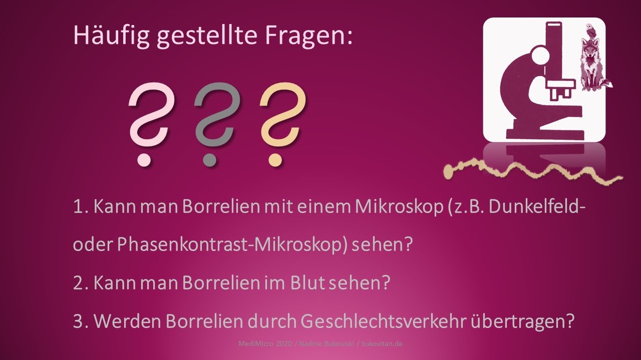 Häufige Fragen zu Borrelien🐍🔬💉 🩸👨👩👧👦👩🔬