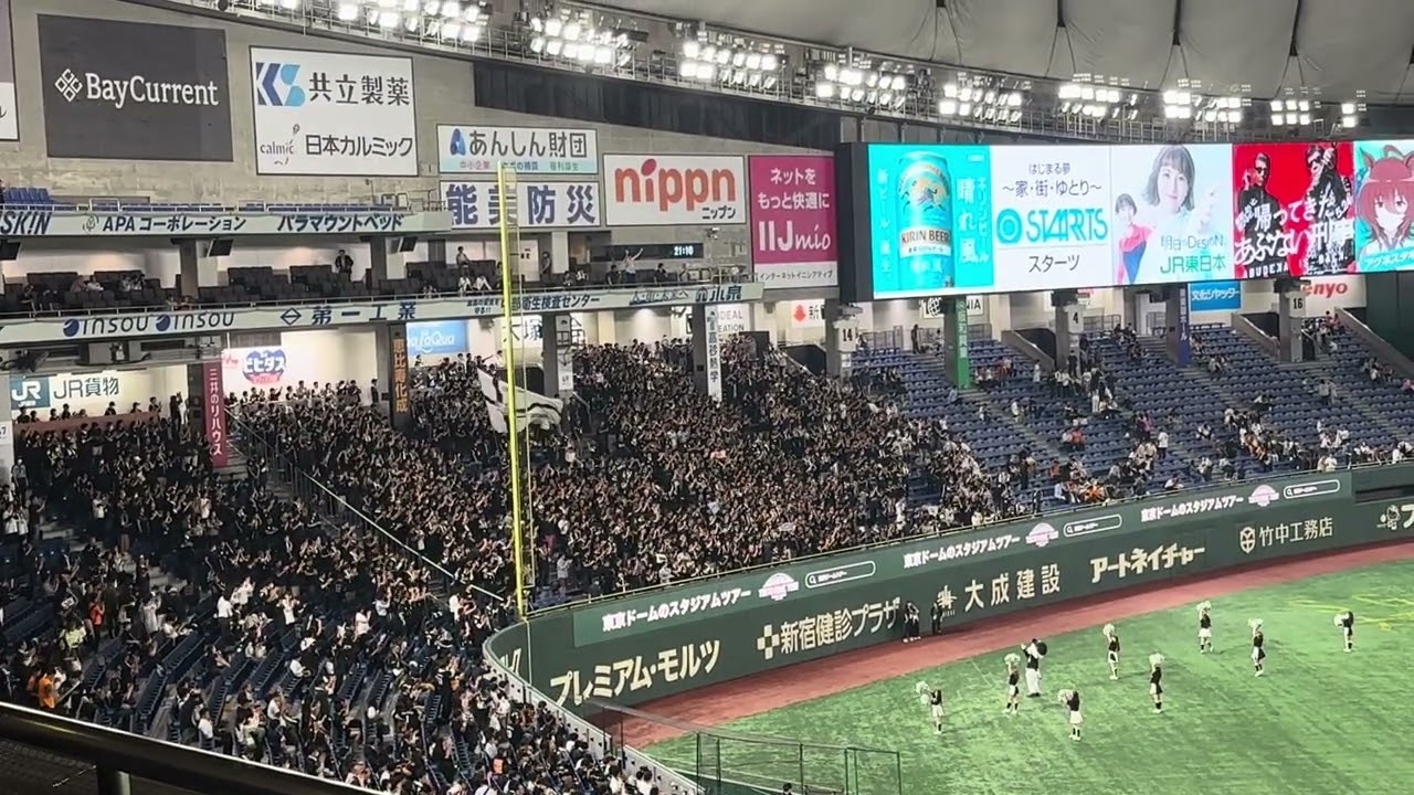 【勝利の二次会】 種市コールから始まる 千葉ロッテマリーンズ　2024/6/5