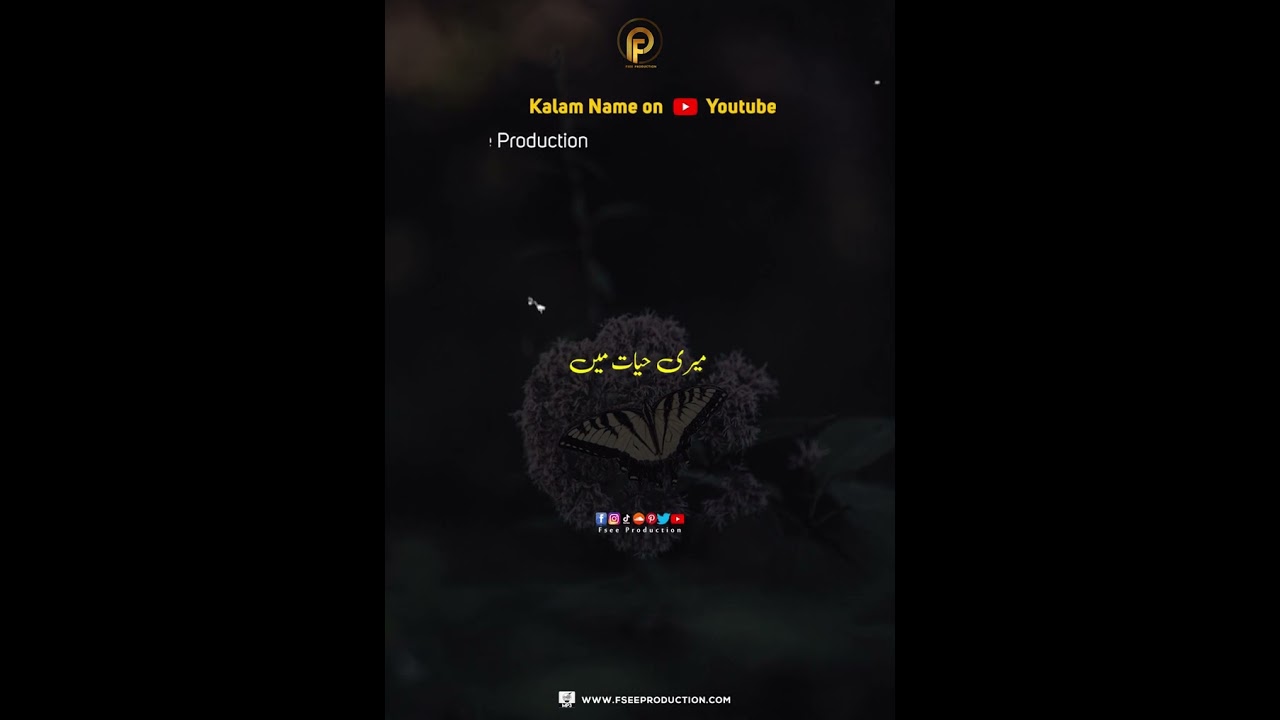 Jis Ko Haseen | New Punjabi Kalam Status | Punjabi poetry Status | Fsee Production | 