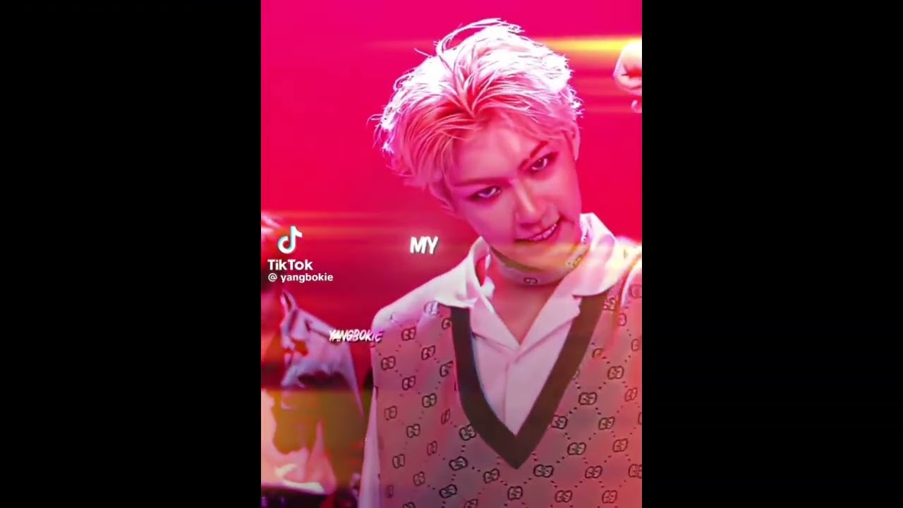 Stray Kids TikTok compliation #3 [Long Ver.]