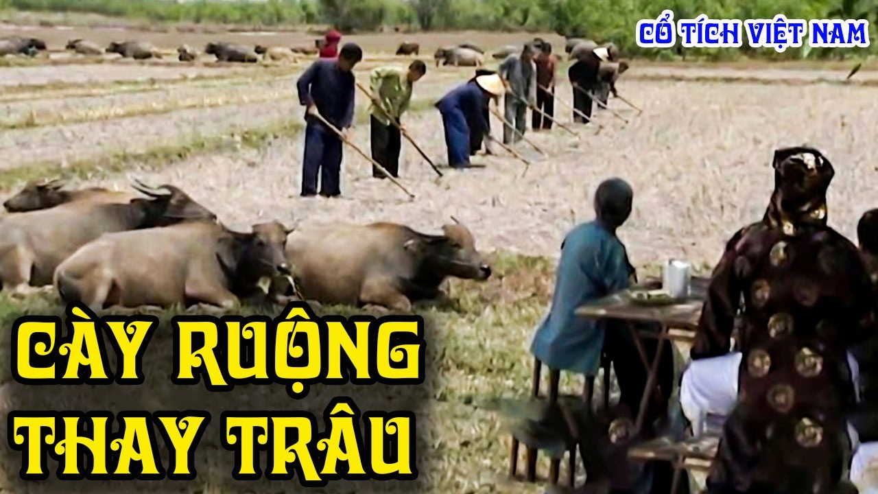 CÀY RUỘNG THAY TRÂU | CỔ TÍCH VIỆT NAM | CỔ TÍCH MỚI HAY NHẤT 2026 | CỔ TÍCH THVL