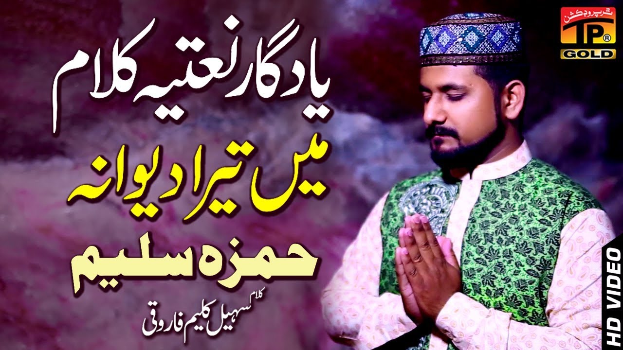 Tera Dewana - Hamza Saleem - New Naat 2018