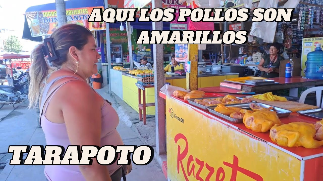 TARAPOTO CIUDAD DE LAS PALMERAS