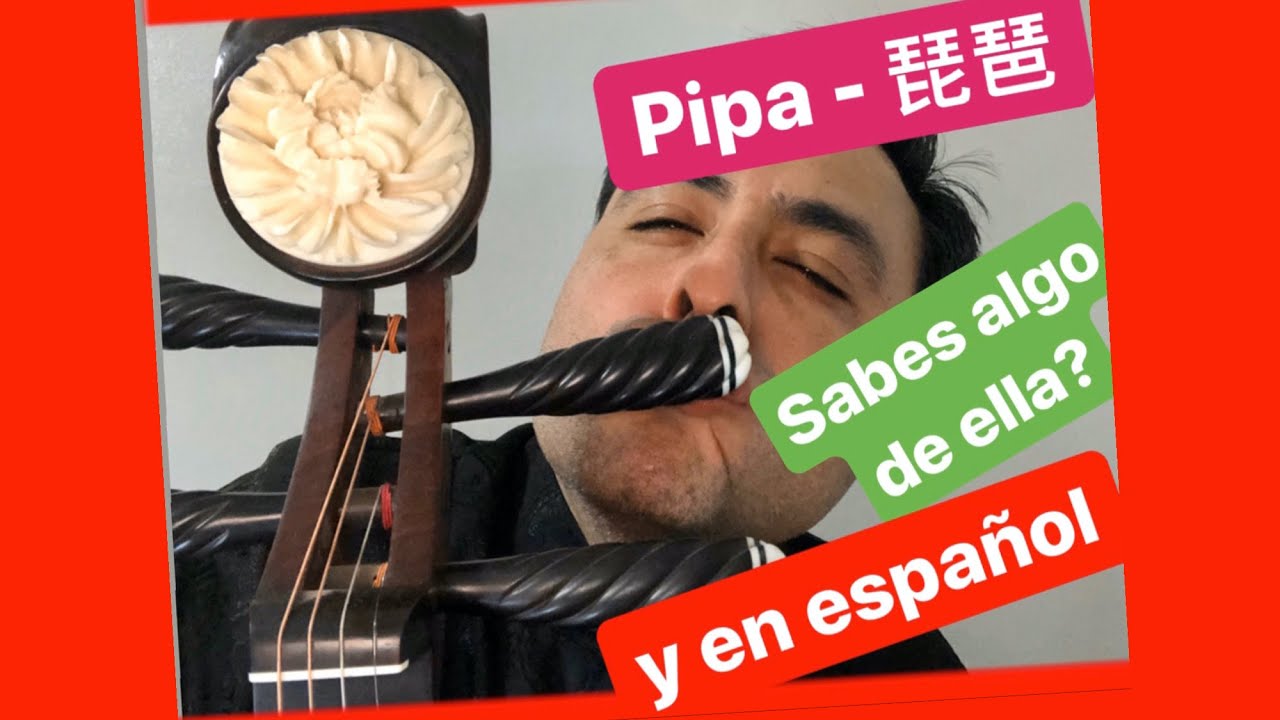 PIPA CHINA | tutorial 琵琶 | COMO TOCAR pipa [ APRENDE MUSICA CHINA ]