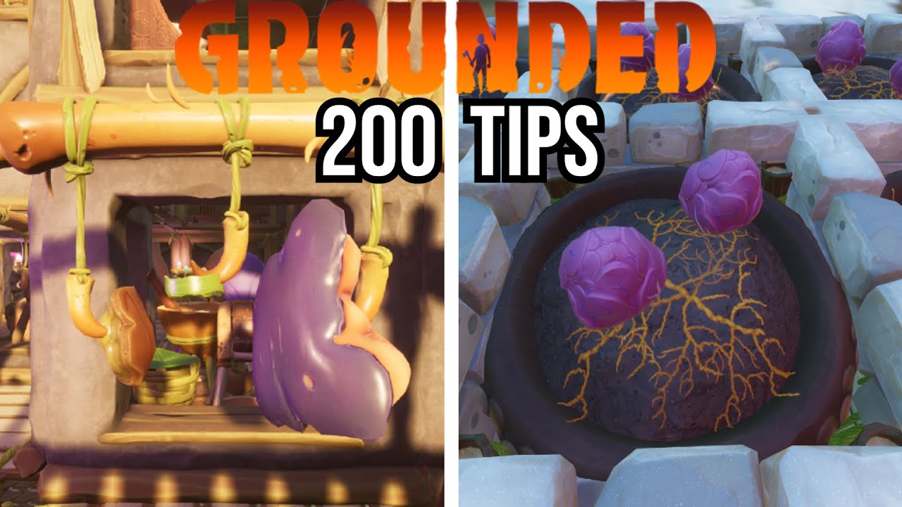 200 Tips & Tricks to Help YOU Beat Grounded!