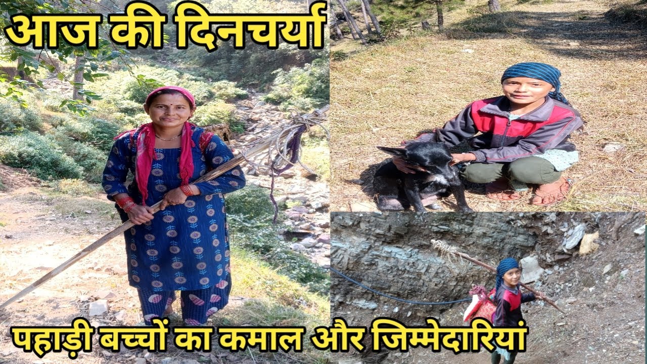 आज की दिनचर्या पहाड़ी जीवन संघर्ष ही संघर्ष||♥️✅ Pahadi lifestyle vlogs ❤🙏