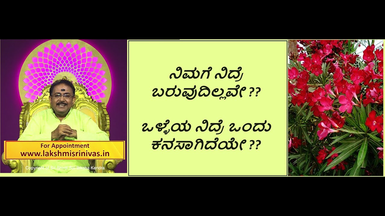 ಅನಿದ್ರತೆ / ನಿದ್ರಾಹೀನತೆಗೆ ಸರಳ ತಂತ್ರ ಪರಿಹಾರಗಳು | SIMPLE TANTRAS TO CURE INSOMNIA -Ep1602 21-Jun-2024
