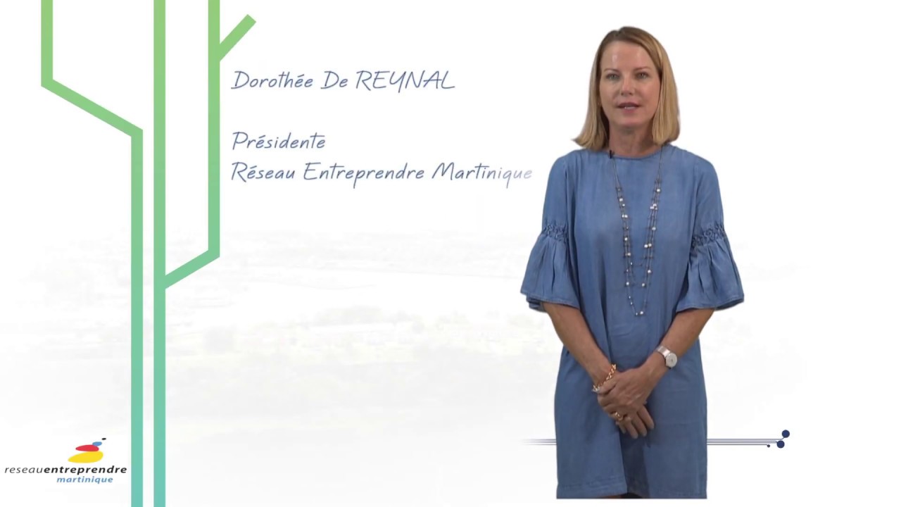 R&eacute;seau Cap Innovation Martinique - Pr&eacute;sentation de R&eacute;seau Entreprendre