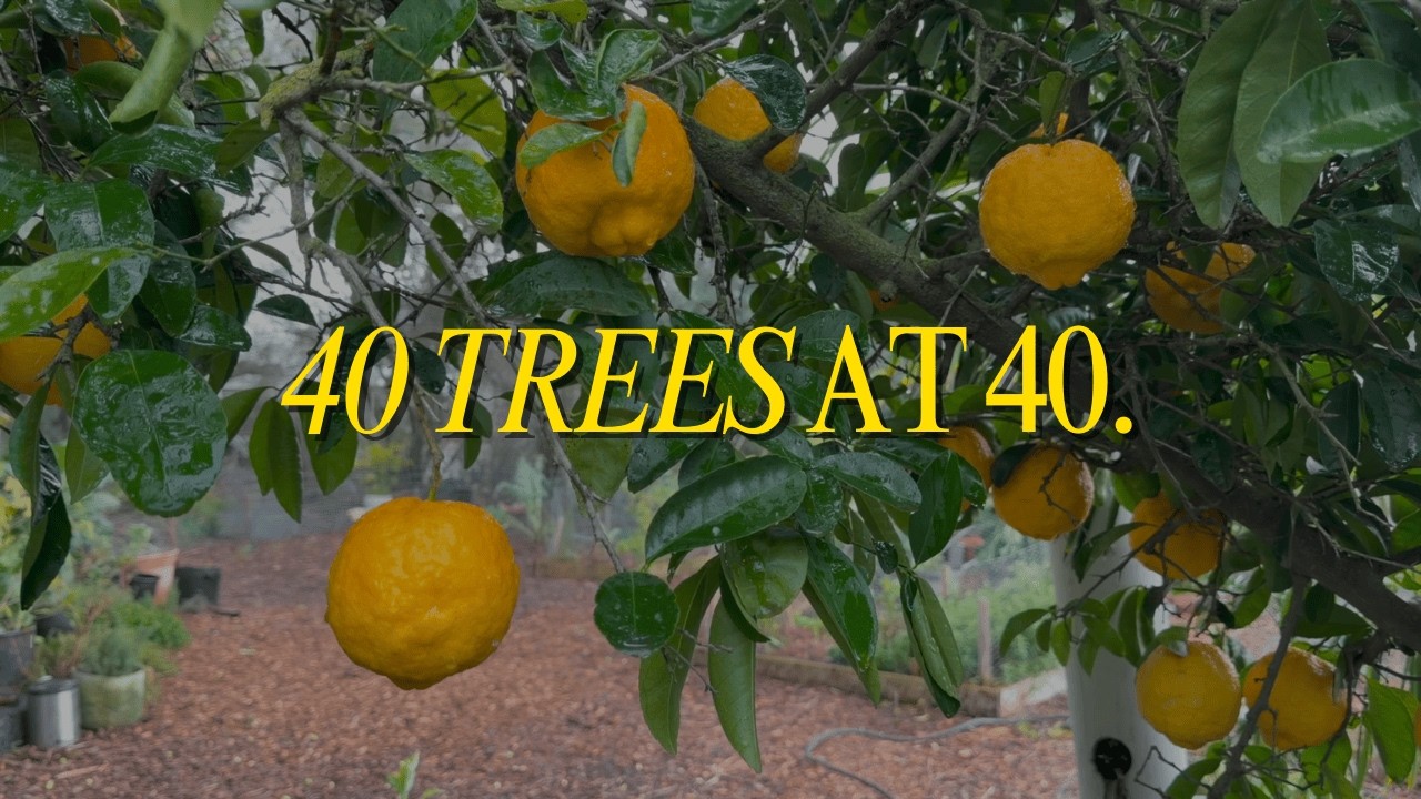 Planting 40 Fruit Trees at 40 | Trees 1 & 2 in the Storm