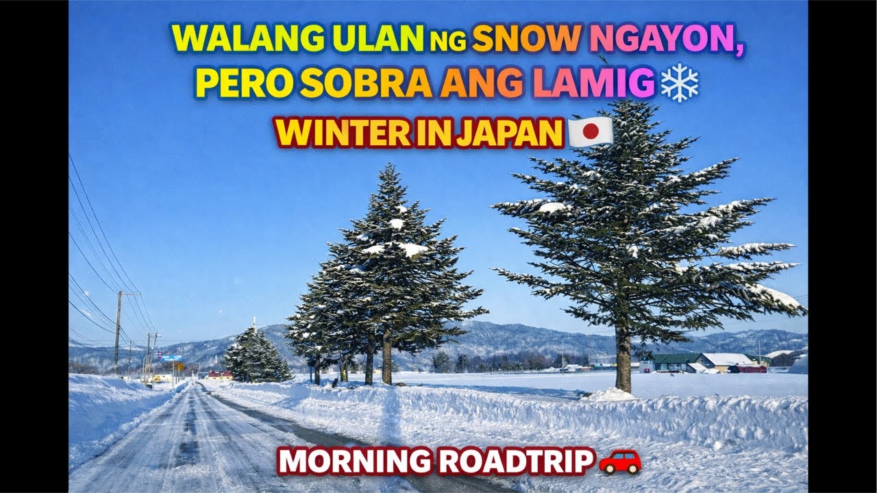 Freezing Morning Roadtrip 🚗 | Winter in Japan 🇯🇵