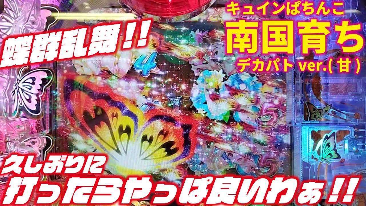 【蝶群最高！】キュインぱちんこ 南国育ち デカパトver. 甘デジ 2022/12/08【白玉も最高！】