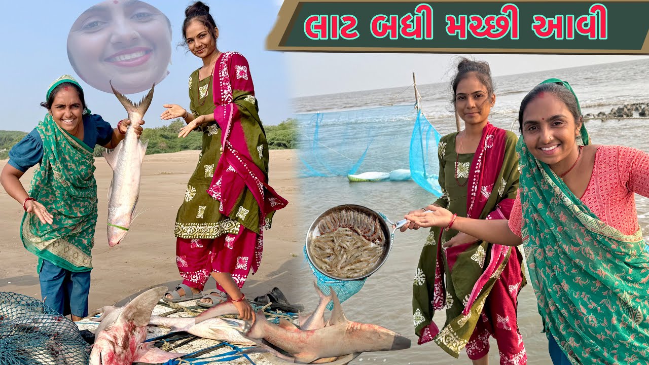 બેય બેનુ એ બંધણ મા હોંઢીયા પકડયા 🦐 15 kg shark fishing 🦈 dariyai khedut
