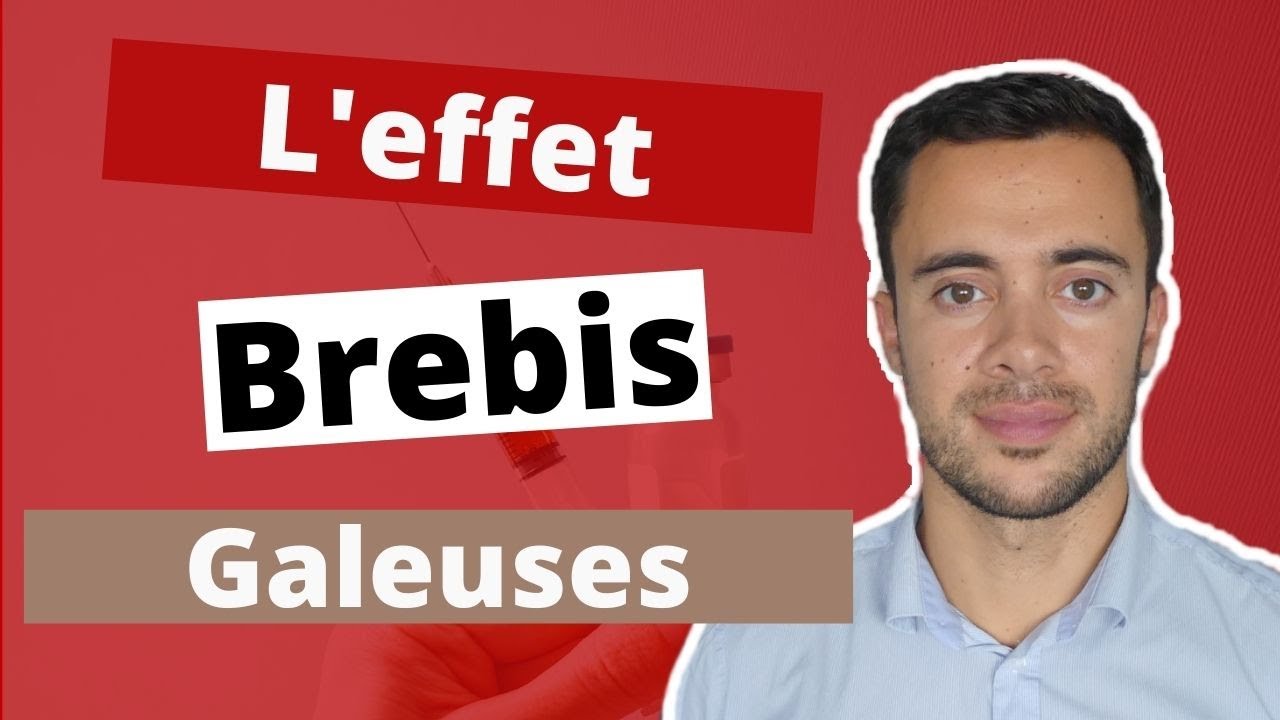 LE BIAIS ENDOGROUPE [L'EFFET BREBIS GALEUSES] 🐑