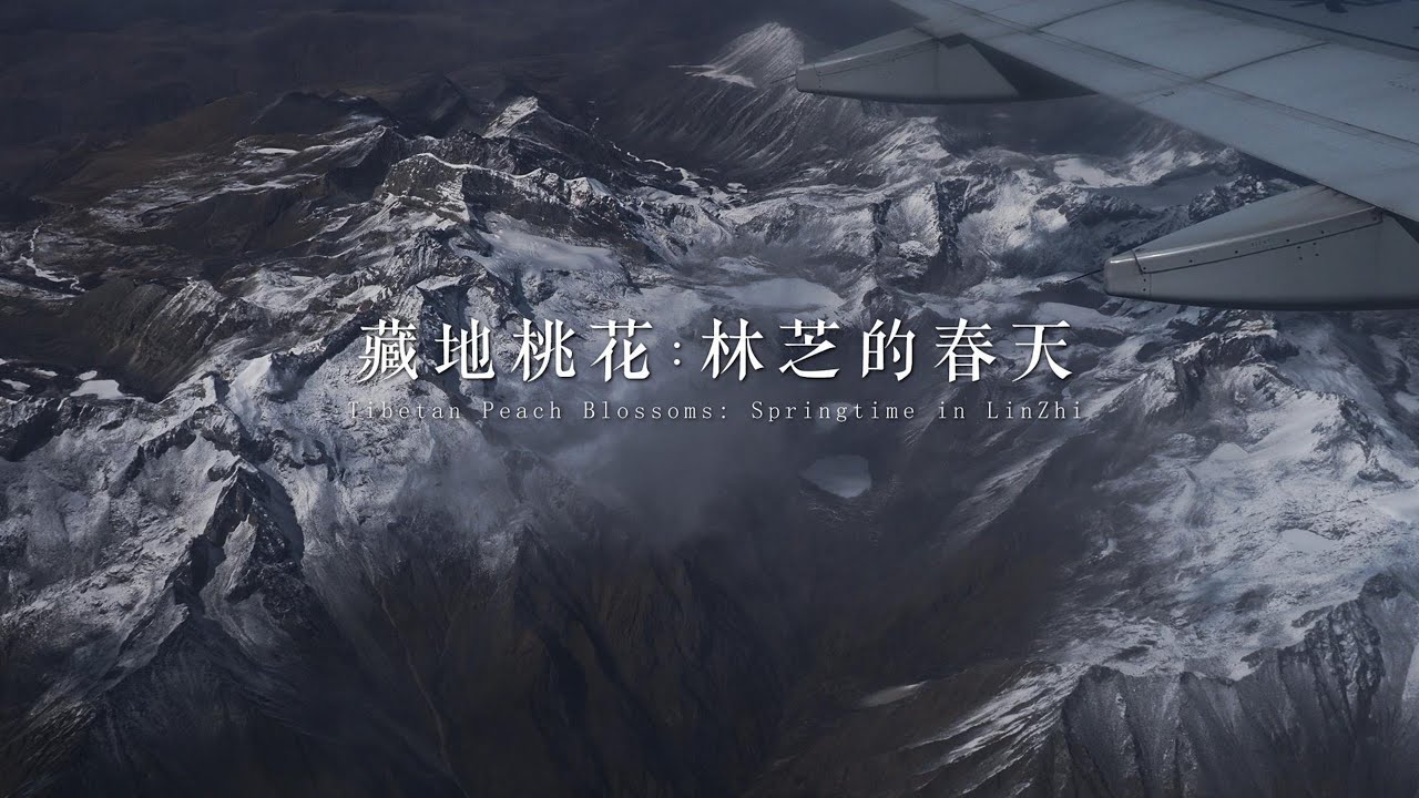 《藏地桃花：林芝的春天》4K風景紀錄片，《Tibetan Peach Blossom: Nyingchi Spring》 4K landscape documentary