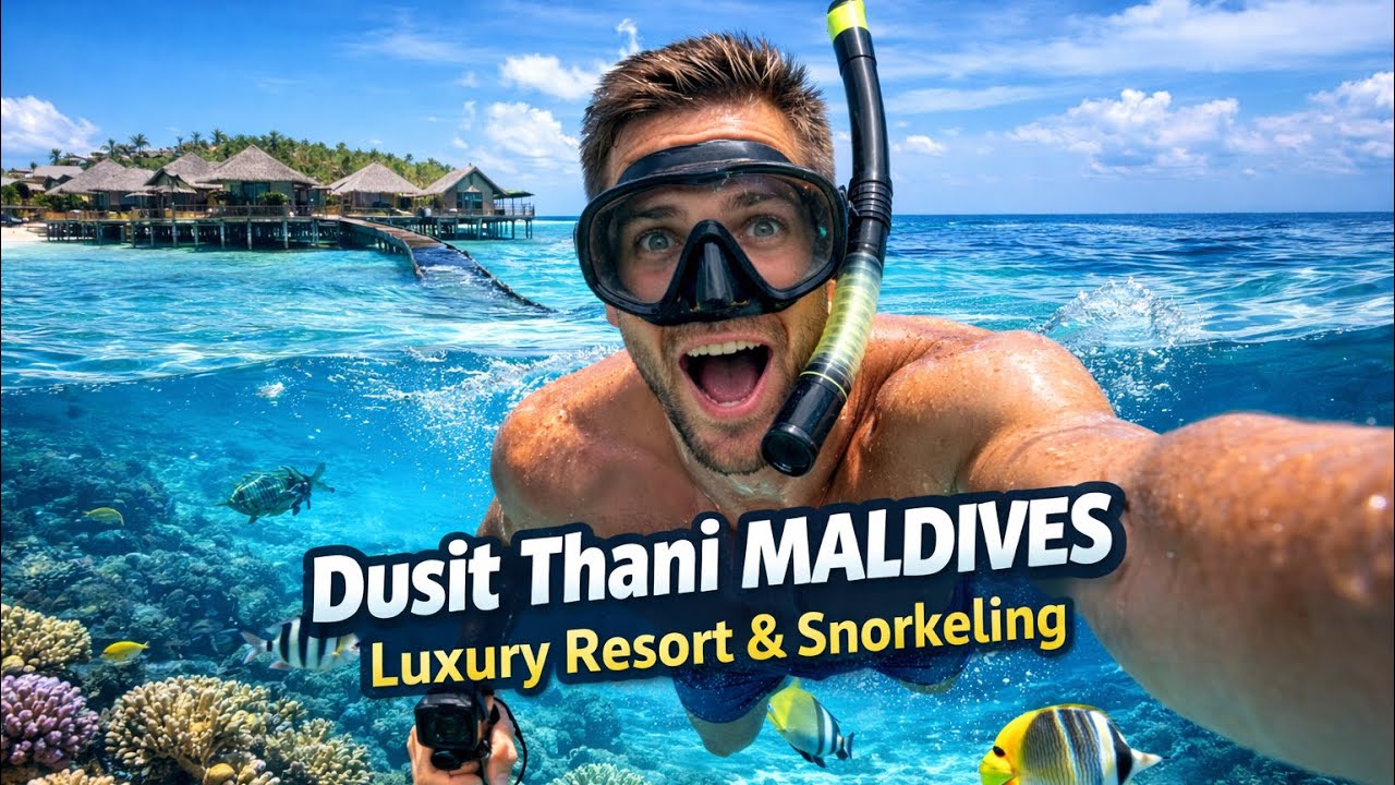 Luxury Maldives Escape 🌴 Dusit Thani Maldives Resort Tour, Snorkeling & Coral Reefs