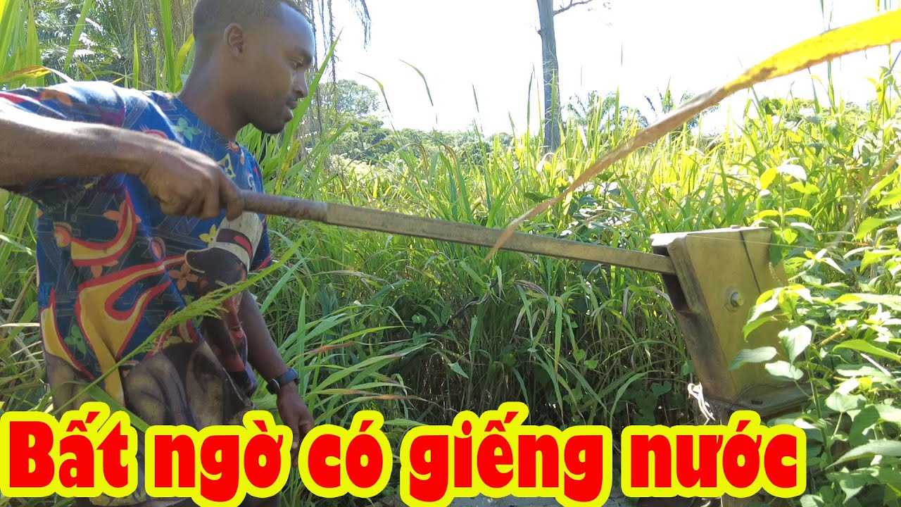Phát hiện kho báu giữa cánh đồng khi đang phát cỏ || Tony Phong cuộc sống Châu Phi