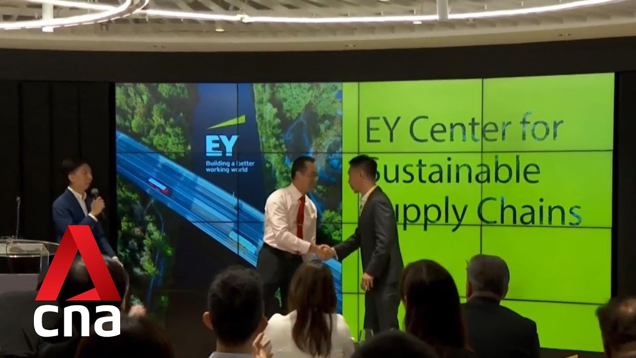 Sustainable supply chain: One-stop hub for firms to get support to make green transformation